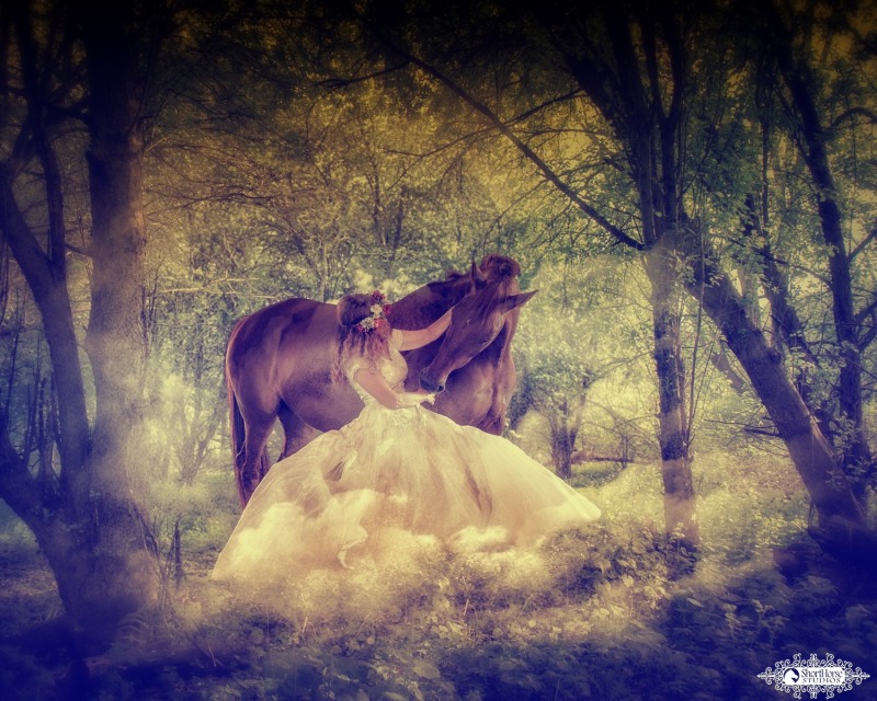 Anne & Savvy