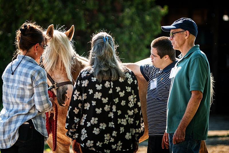 Walk, Trot, Toast! Fundraiser Event at Three Gaits Therapeutic Riding Center