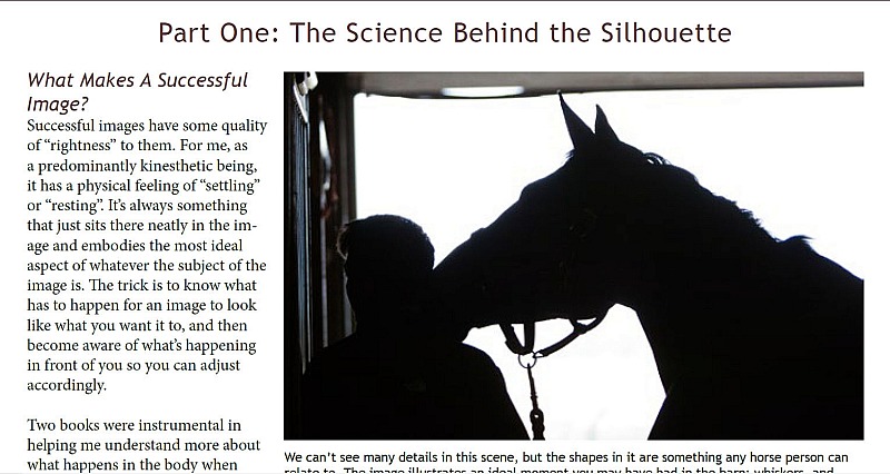 Photographing Horses The Short Way (Or At Least How I Do It)
